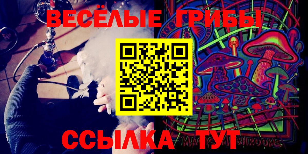 Галлюциногенные грибы Psilocybe Краснознаменск