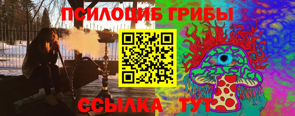 Псилоцибиновые грибы прущие грибы  Галлюциногенные грибы Magic Shrooms  Вход с VPN  Краснознаменск 