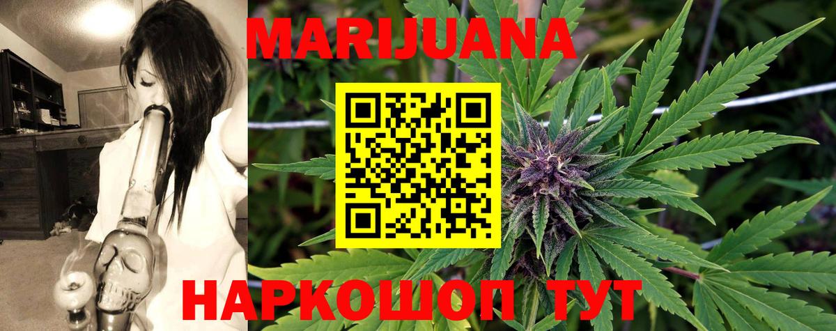 Бошки Шишки семена  МАРИХУАНА SATIVA & INDICA  Краснознаменск  Каннабис White Widow  Вход с VPN 